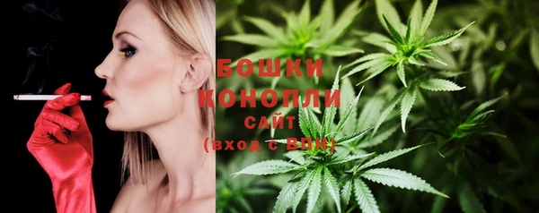 apvp Горно-Алтайск