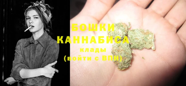 сатива Гусев