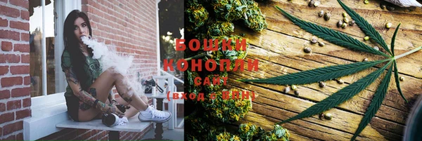 apvp Горно-Алтайск