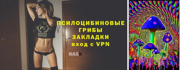 apvp Горно-Алтайск